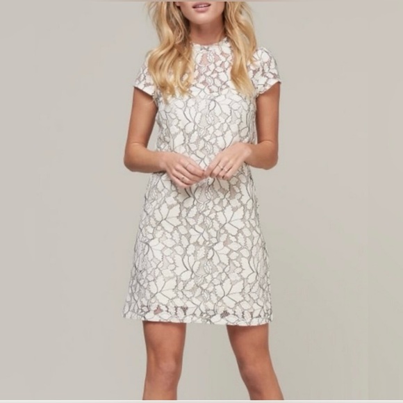 H&M Sheer Sheath Lace Dresses Cream with black detailing back ribbon tie Lined - Picture 1 of 17